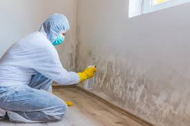  Drexel, OH Mold Removal Pros