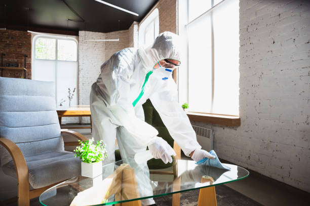 Best Commercial Mold Inspection in Drexel, OH